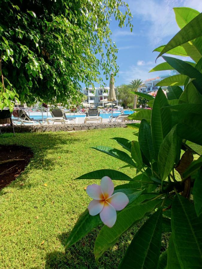לוס כריסטיאנוס Private Apartment 150 Hg Tenerife Sur מראה חיצוני תמונה